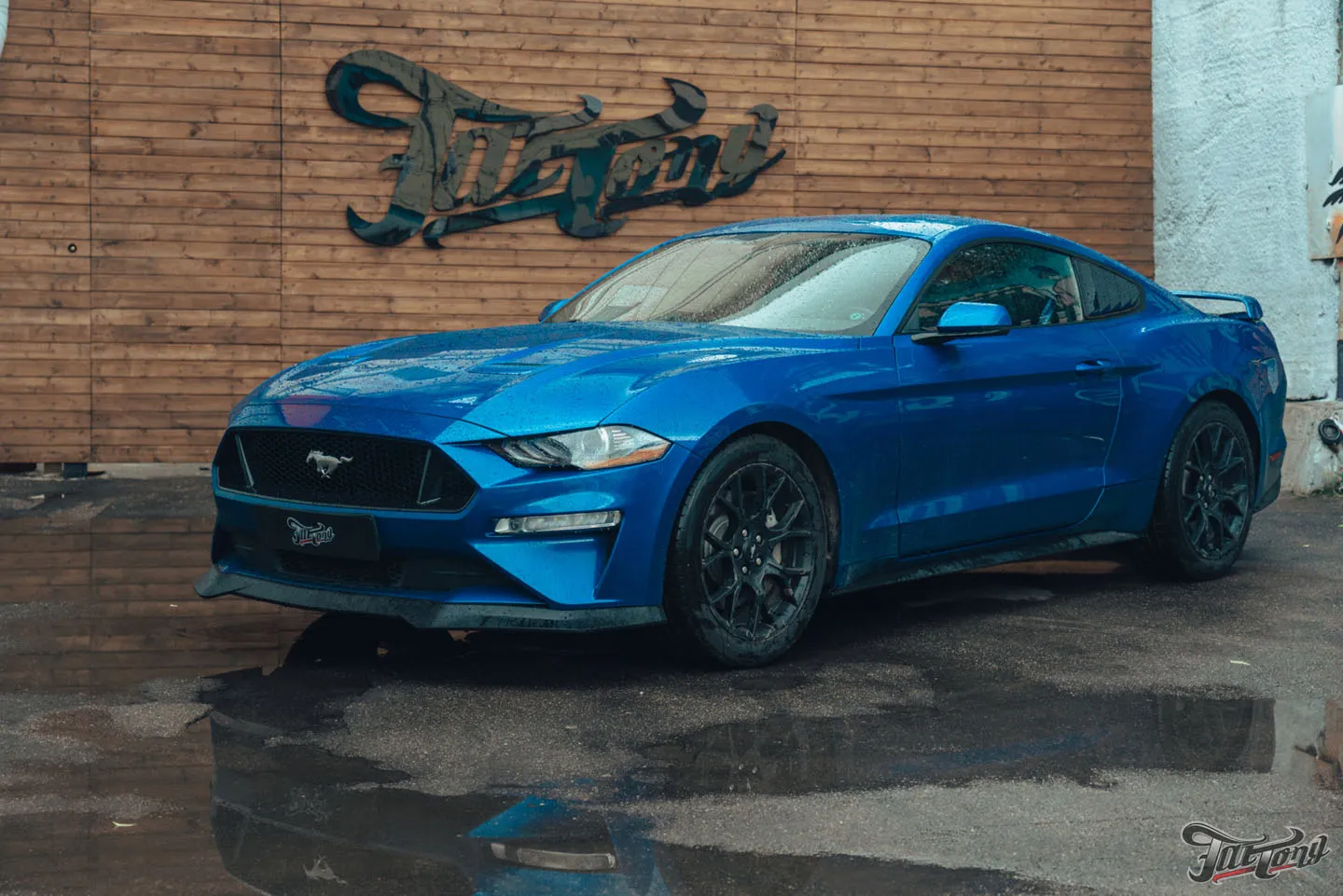 Ремни безопасности с принтом для Ford Mustang